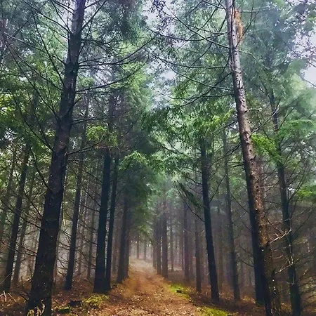 Bed & Breakfast & Savonnerie De Bonnefon 3*