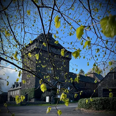 & Savonnerie De Bonnefon Bed & Breakfast 3*