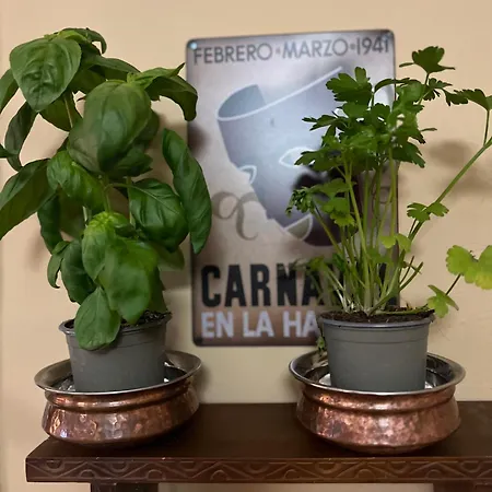 & Savonnerie De Bonnefon 3* Saint-Chely-d'Aubrac