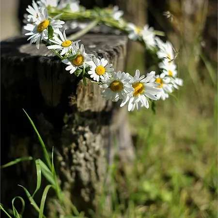& Savonnerie De Bonnefon Bed & Breakfast 3*