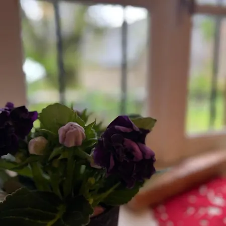 & Savonnerie De Bonnefon Bed & Breakfast