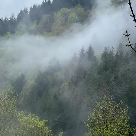 Bed & Breakfast & Savonnerie De Bonnefon