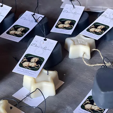 & Savonnerie De Bonnefon Bed & Breakfast