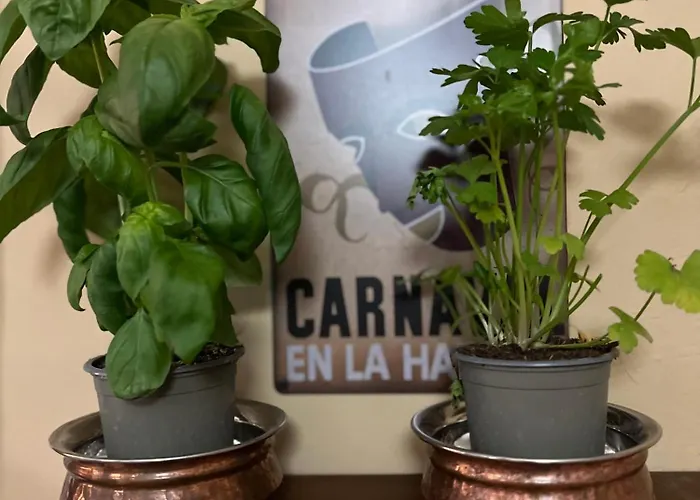 & Savonnerie De Bonnefon 3* Сен-Шели-д'Обрак