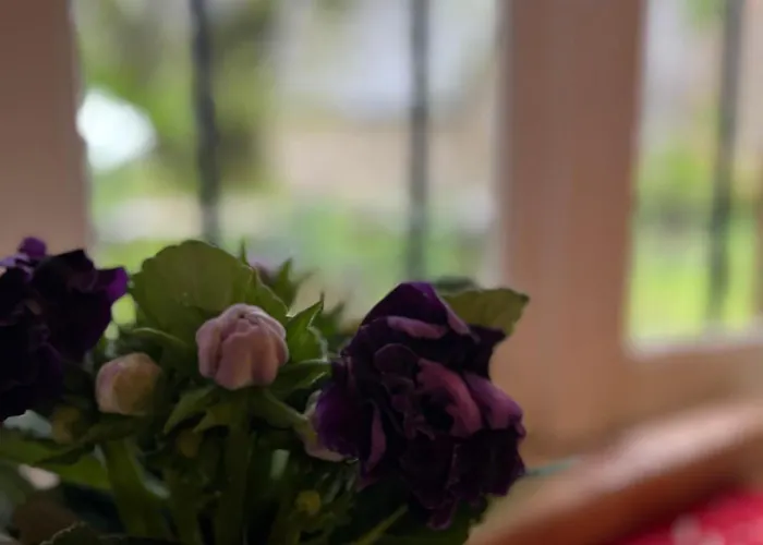 & Savonnerie De Bonnefon Отель типа 