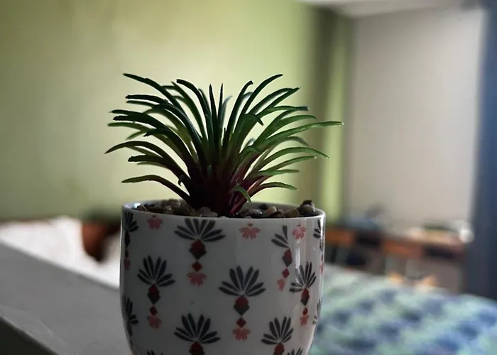 & Savonnerie De Bonnefon