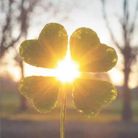 & Savonnerie De Bonnefon Oda ve Kahvaltı