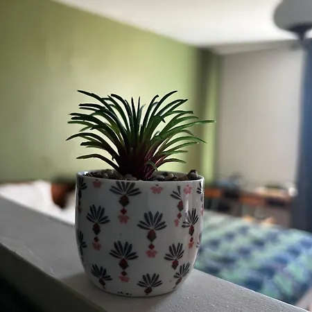 & Savonnerie De Bonnefon